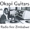 Radio free Zimbabwe [Radio free Zimbabwe]