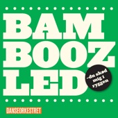 Bamboozled artwork