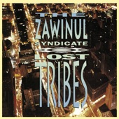 The Zawinul Syndicate - Victims of the Groove