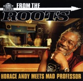 Horace Andy - Dem Lie