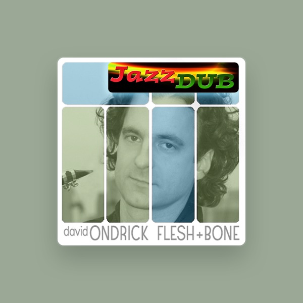David Ondrick's avatar