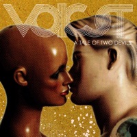 Voicst - Everyday I Work On the Road