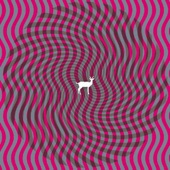 Deerhunter - Cryptograms