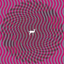 Cryptograms - Deerhunter