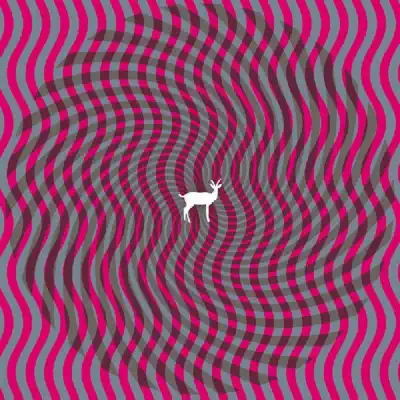 Cryptograms - Deerhunter