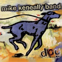 Album cover for Panda by Mike Keneally