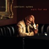 Jubilant Sykes, Jennifer Warnes, Chris Bruce, Teddy Borowiecki, Greg Leisz, David Piltch, Joey Baron, Abe Laboriel Jr., Erik Charleston, Mark Batson, Guy Klesuvic, Regina Carter, Sandra Park, Sharon Yamada, Greg Cohen, Robert Rinehart, Alan Stepansky, Sar - You Must Have That True Religion, Halleloo