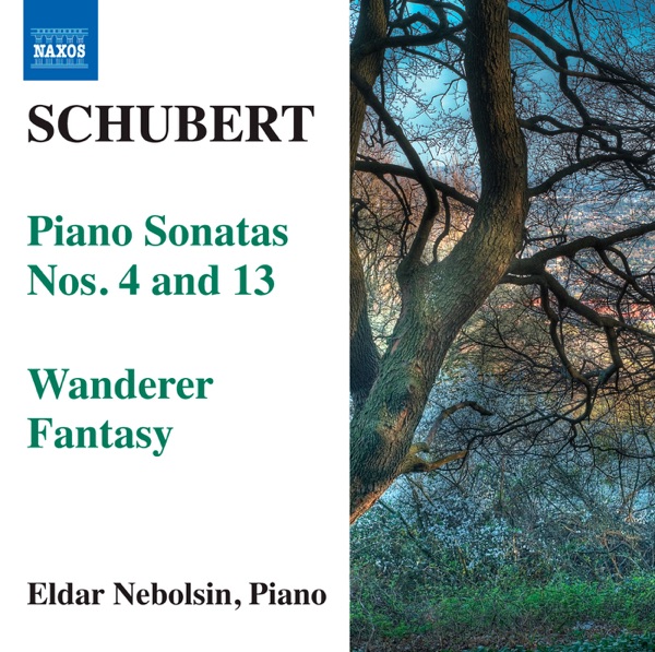 Schubert: Piano Sonatas Nos. 4 & 13 - Wanderer Fantasy