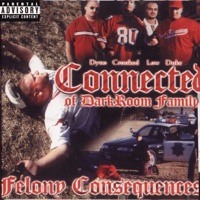 Felony Consequences - Connected of DarkRoom Familia