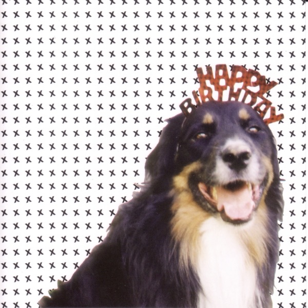 Mollie's Mix