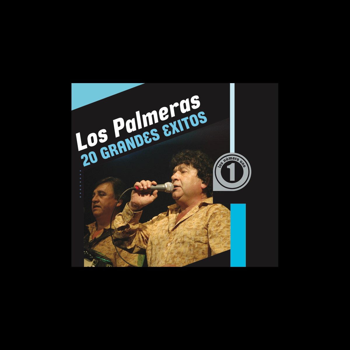 ‎20 Grandes Exitos - Album by Los Palmeras - Apple Music