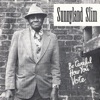 Sunnyland Slim - Speak Once and Think Twice