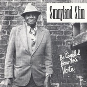 Sunnyland  Slim - Be Careful How You Vote