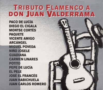 Tributo Flamenco a Don Juan Valderrama
