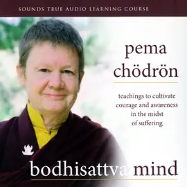 Bodhisattva Mind: Teachings to Cultivate Courage and Awareness in the Midst of Suffering