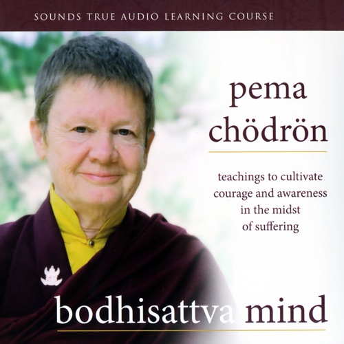 Bodhisattva Mind: Teachings to Cultivate Courage and Awareness in the Midst of Suffering cover