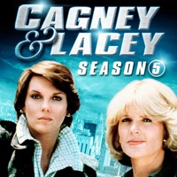 Cagney & Lacey, Season 5