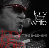 Tony Joe White - Steamy Windows