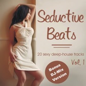 Seductive Beats, Vol. 1 (Non-Stop-DJ-Mix) artwork