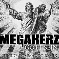 Gott Sein (Suicide Commando Remix) — Megaherz