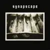 Synapscape - Dream (Subliminal)