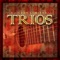Alma Llanera - Trio Sudamericano lyrics