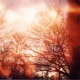 There s Life After Winter