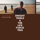 Dwight Trible & The Life Force Trio - Antiquity