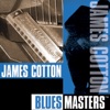 Blues Masters