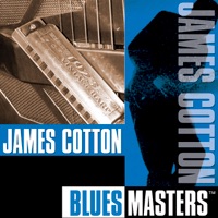 Blues Masters