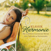 Clarinet Concerto in A Major, K. 622: Adagio