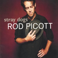 Stray Dogs - Rod Picott
