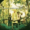 The Derek Trucks Band - Frisell