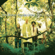 Joyful Noise - The Derek Trucks Band