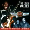 Joe Louis Walker - Snake Bit