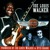 Cover art for Guitar Brothers by Joe Louis Walker