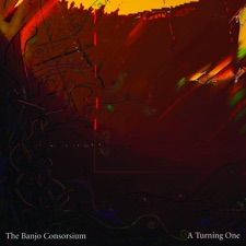 The Banjo Consorsium - Burning feet
