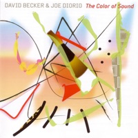 David Becker & Joe Diorio - Beautiful Love