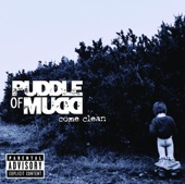 PUDDLE OF MUDD - drift and die 