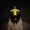 HOLD ON by SBTRKT
