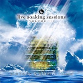 Live Soaking Sessions Vol III artwork