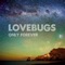 Safe Hands - Lovebugs lyrics