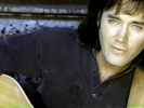 Dust On the Bottle - David Lee Murphy