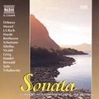 Piano Concerto in A Minor, Op. 16: Adagio