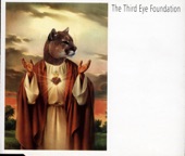 The Third Eye Foundation - A Galaxy of Scars