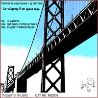 Bridging the Gap - EP - Homero Espinosa & DJ Denise