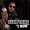 I Run - Slim Thug lyrics