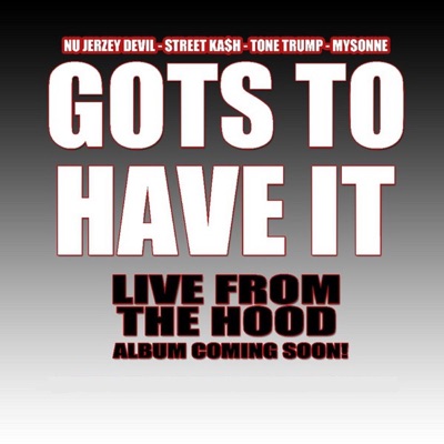 Gots to Have It - Single
