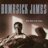 Goin' Back In the Times - Homesick James