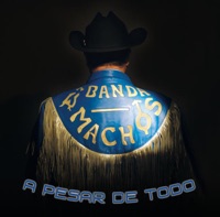 Banda Machos - Cuatro Meses (Que Se Te Quite Ese Orgullo)
